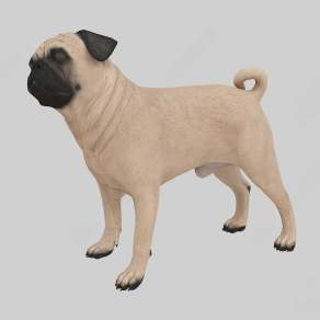 现代狗3D模型下载